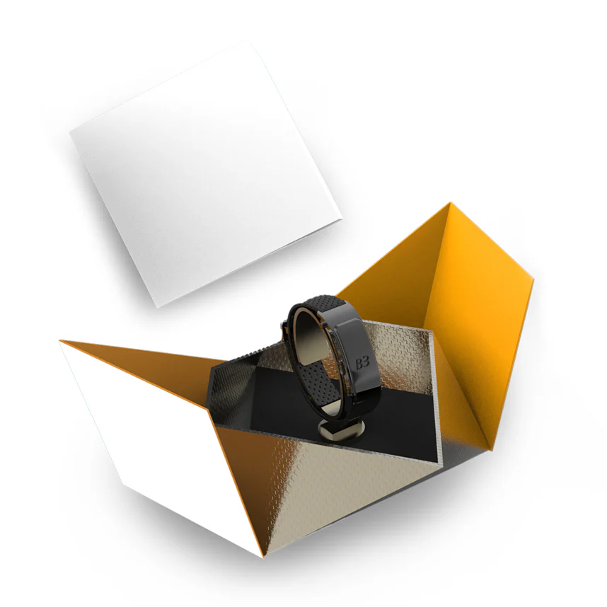 Watch Packaging Box