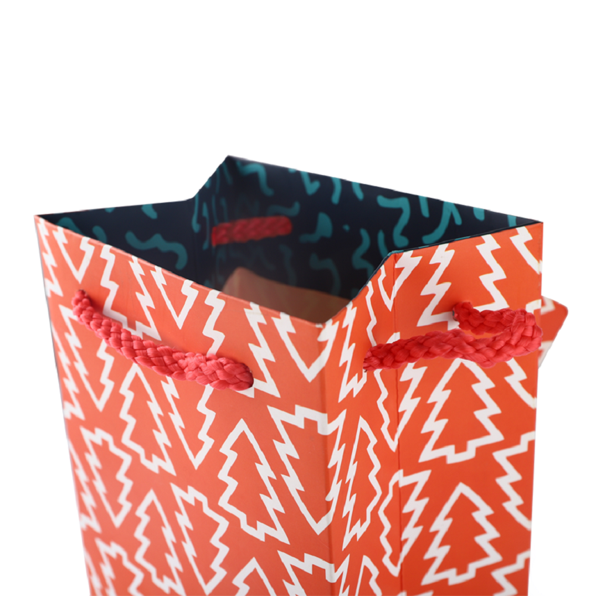 Gift Paper Bag
